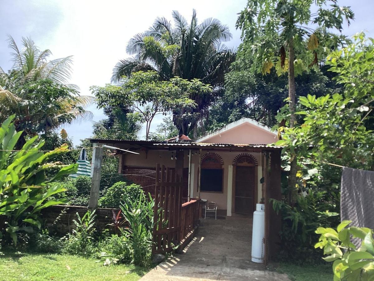 Exotic Flower Cabin2 Pool Agua Bendita Exterior photo